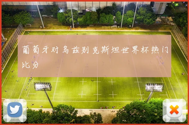 葡萄牙对乌兹别克斯坦世界杯热门比分