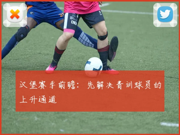 汉堡赛季前瞻:先解决青训球员的上升通道