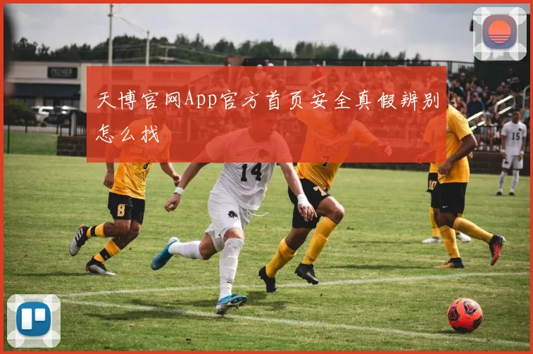 天博官网App官方首页安全真假辨别怎么找