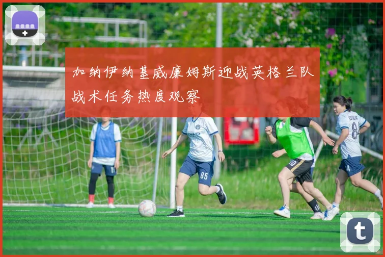 加纳伊纳基威廉姆斯迎战英格兰队战术任务热度观察