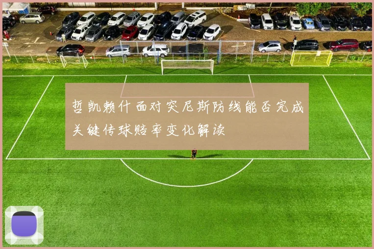 哲凯赖什面对突尼斯防线能否完成关键传球赔率变化解读