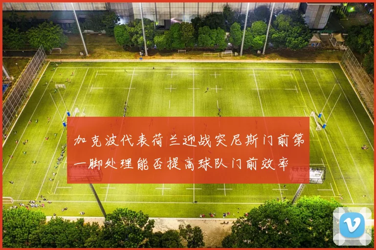 加克波代表荷兰迎战突尼斯门前第一脚处理能否提高球队门前效率